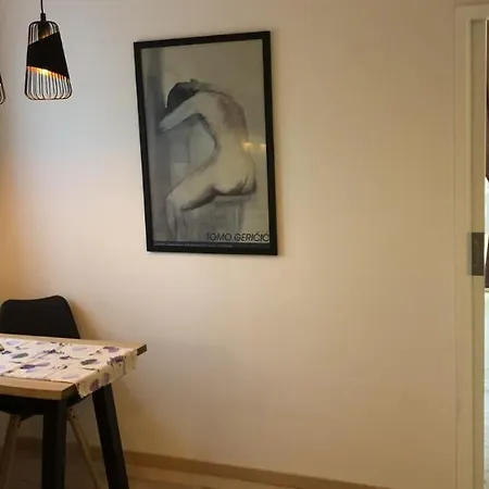 公寓 格吉奇公寓酒店 Zrnovo