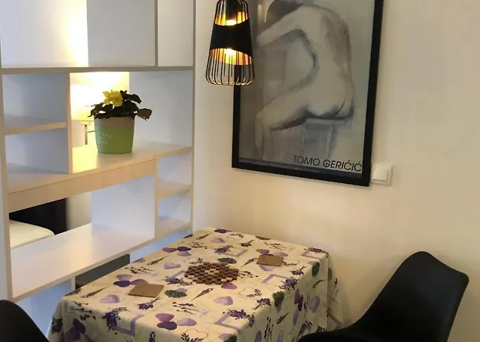 格吉奇公寓酒店 公寓 Zrnovo